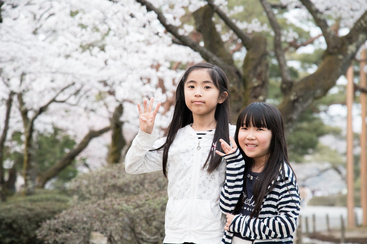 японские девочки у цветущей сакуры