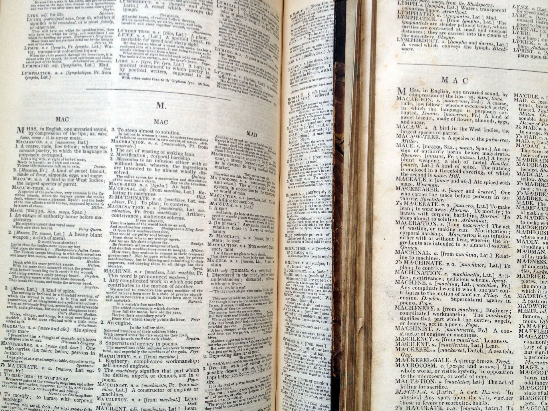 Close up Samuel Johnson Folio and Abridged dictionaries – letter